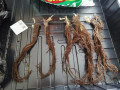 upload_img1