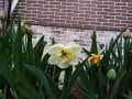 upload_img1