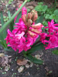 upload_img1