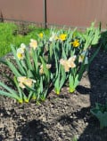 upload_img1