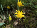 upload_img1