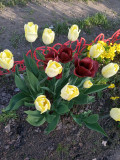 upload_img1