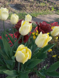 upload_img1