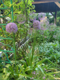 upload_img1