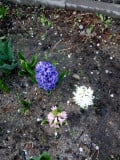 upload_img1