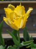 upload_img1