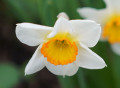 upload_img1