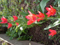 upload_img1