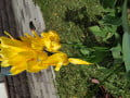 upload_img1