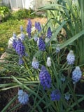 upload_img1