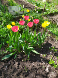 upload_img1