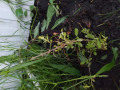 upload_img1
