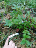 upload_img1