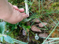 upload_img1
