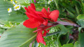 upload_img1