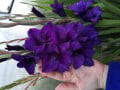 upload_img1