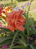 upload_img1