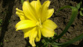 upload_img1