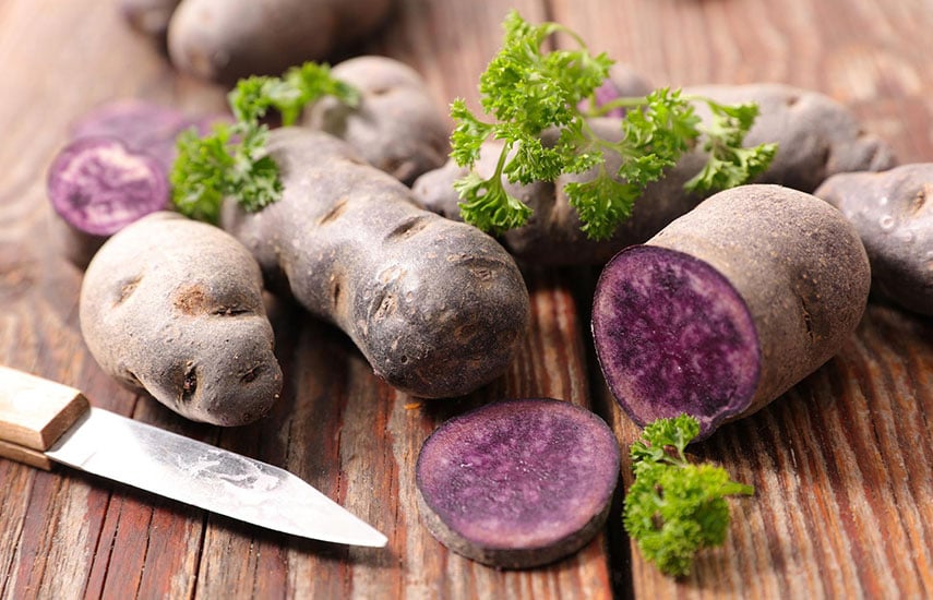 Фиолетовый картофель – как вырастить экзотику без хлопот