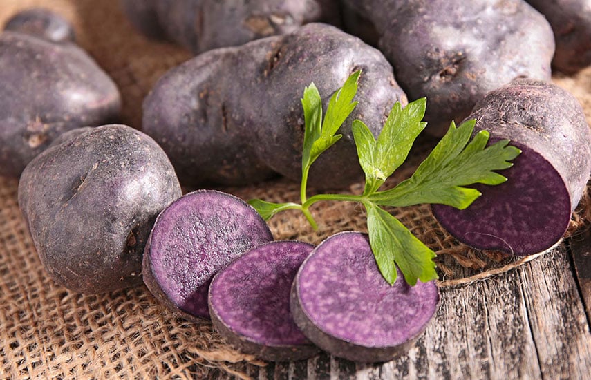 выращивание фиолетового картофеля