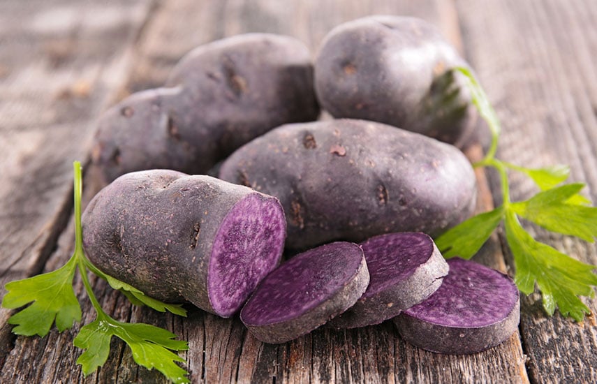 фиолетовая картошка выращивание