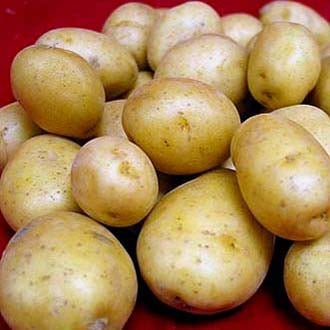 картофель темп