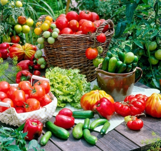 Семена овощей