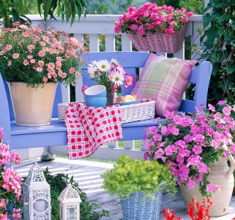 Семена ампельных цветов