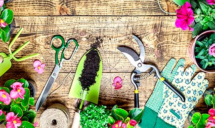 Биостимулятор Корнерост | Беккер