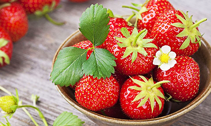 Изумительный вкус | Беккер