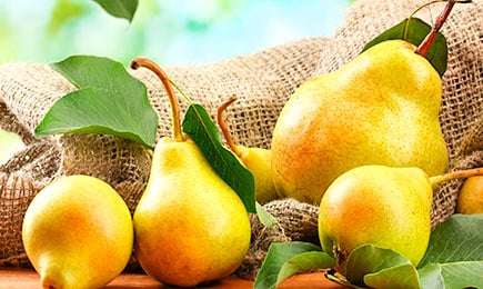 Сладкие, крупные | Беккер